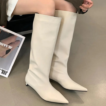 Female Designer Slip On Fashion Pointed Toe Low Heel Knee High Boots